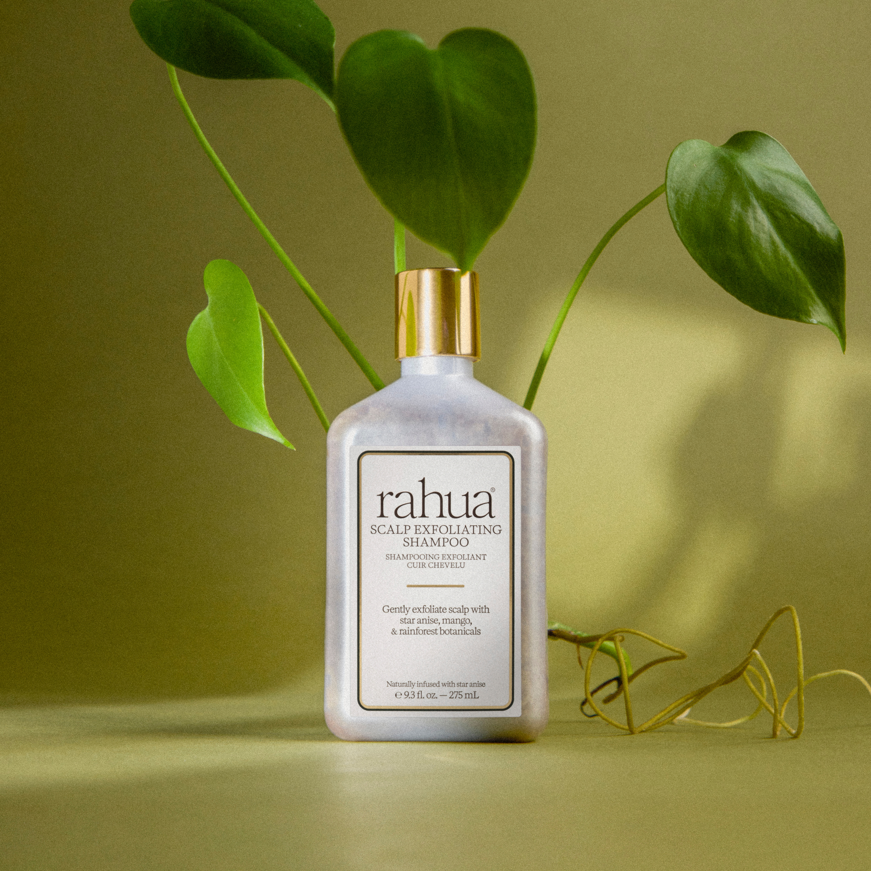 Champú exfoliante Rahua